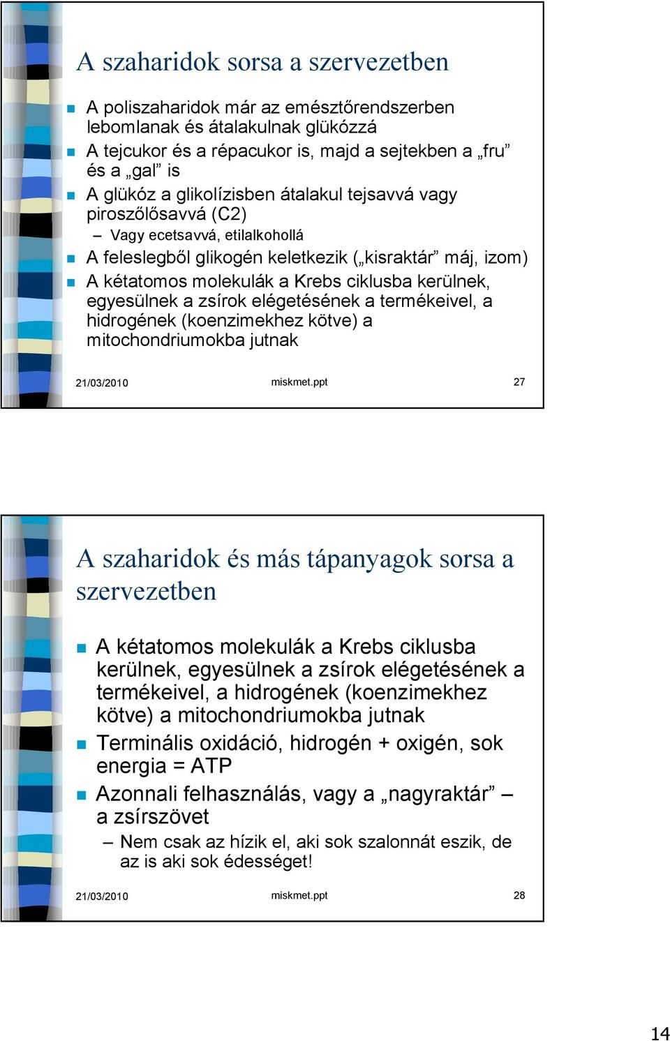 egyesülnek a zsírok elégetésének a termékeivel, a hidrogének (koenzimekhez kötve) a mitochondriumokba jutnak 21/03/2010 miskmet.