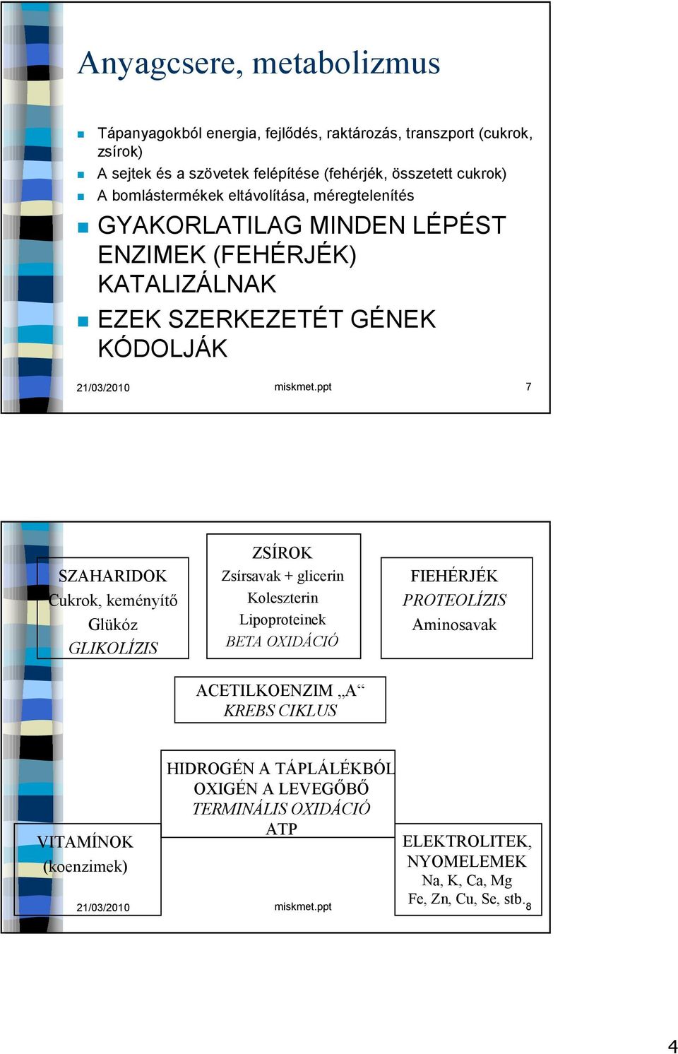 ppt 7 SZAHARIDK Cukrok, keményítő Glükóz GLIKLÍZIS ZSÍRK Zsírsavak + glicerin Koleszterin Lipoproteinek BETA XIDÁCIÓ FIEHÉRJÉK PRTELÍZIS Aminosavak ACETILKENZIM A