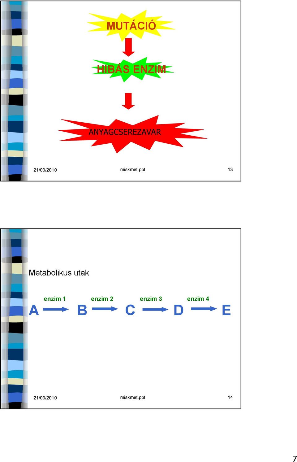 ppt 13 Metabolikus utak enzim 1