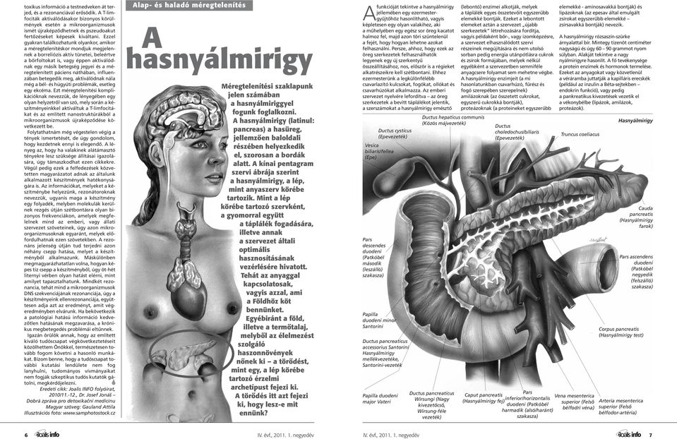 Ezzel gyakran találkozhatunk olyankor, amikor a méregtelenítéskor mondjuk megjelennek a borreliózis aktív tünetei, beleértve a bőrfoltokat is, vagy éppen aktiválódnak egy másik betegség jegyei és a