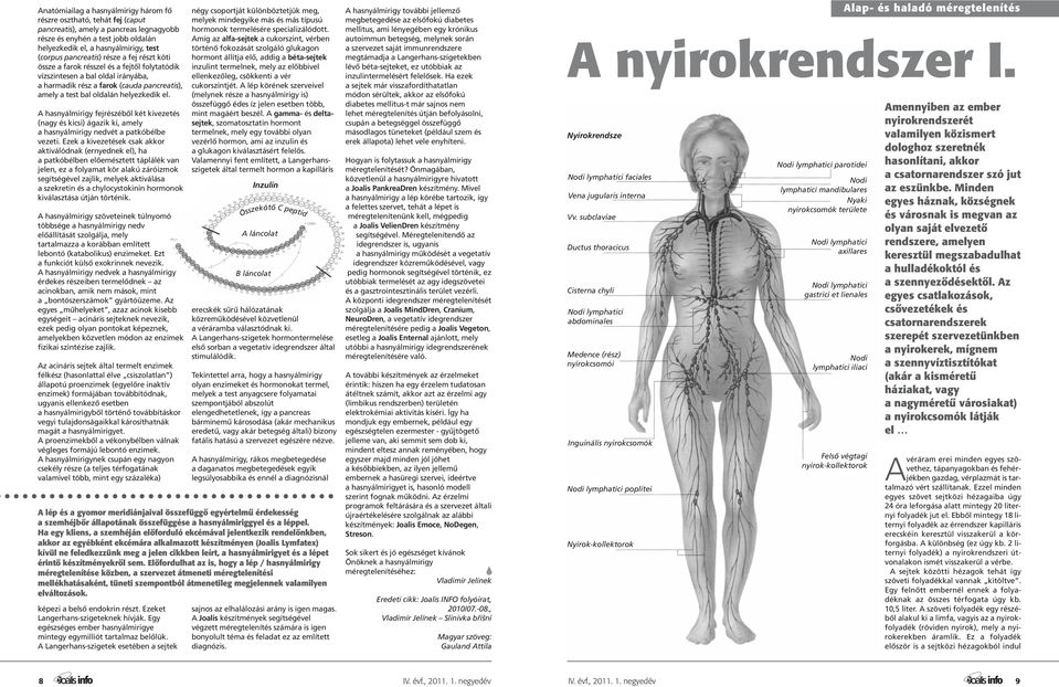 A hasnyálmirigy fejrészéből két kivezetés (nagy és kicsi) ágazik ki, amely a hasnyálmirigy nedvét a patkóbélbe vezeti.