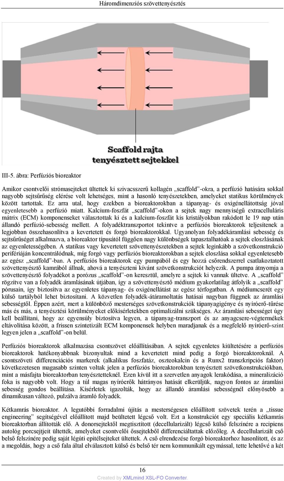 tenyészetekben, amelyeket statikus körülmények között tartottak. Ez arra utal, hogy ezekben a bioreaktorokban a tápanyag- és oxigénellátottság jóval egyenletesebb a perfúzió miatt.