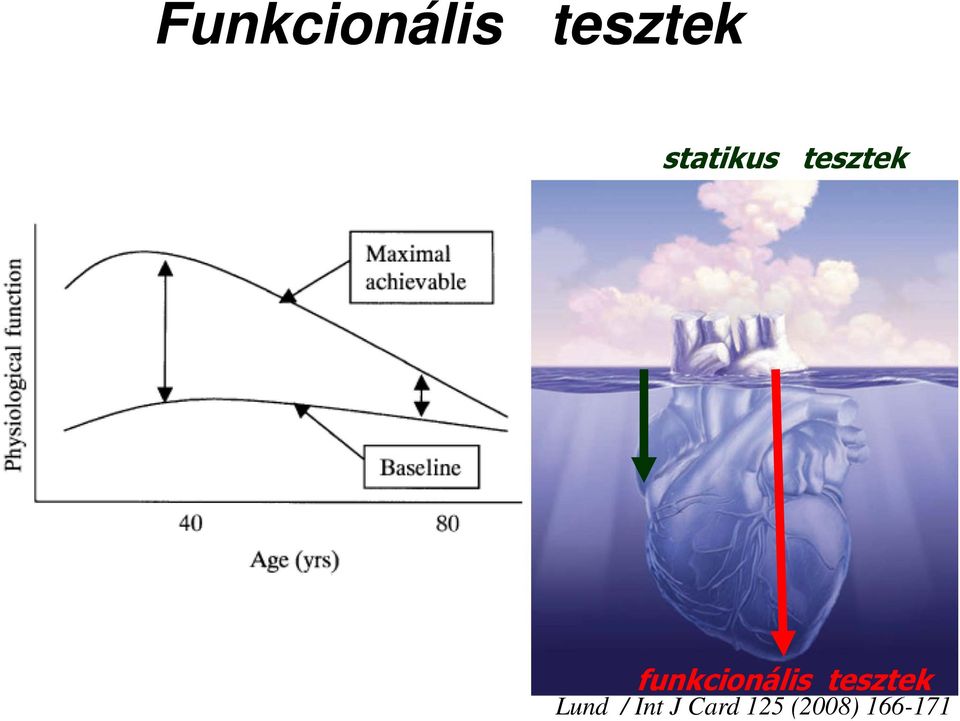 funkcionális tesztek