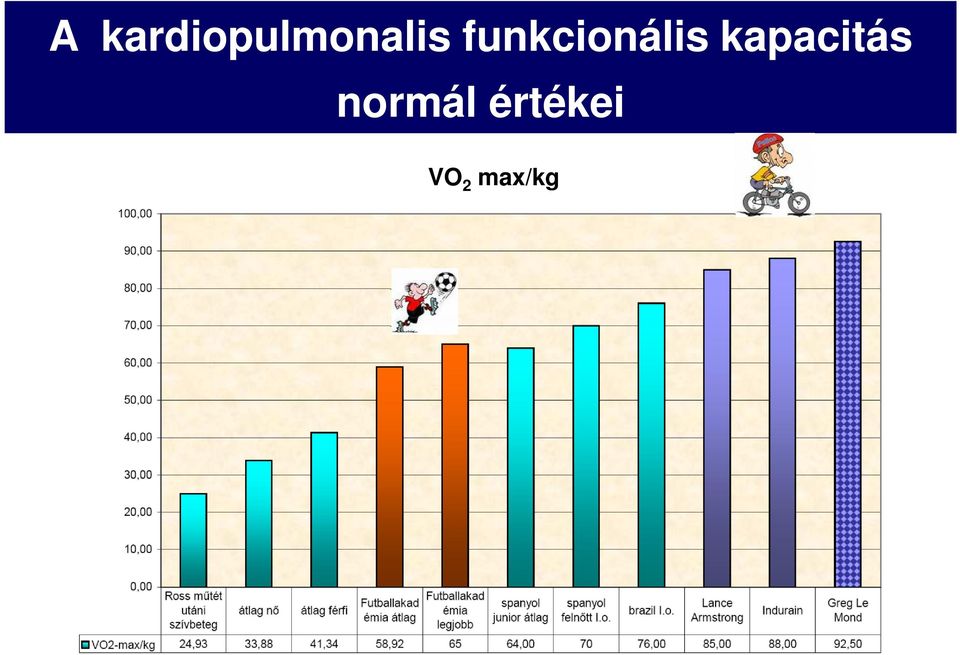 funkcionális