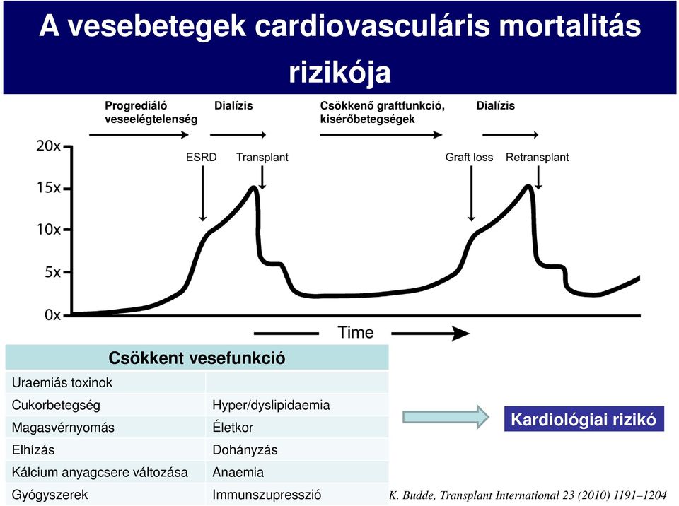 Hyper/dyslipidaemia Magasvérnyomás Életkor Elhízás Dohányzás Kálcium anyagcsere változása Anaemia