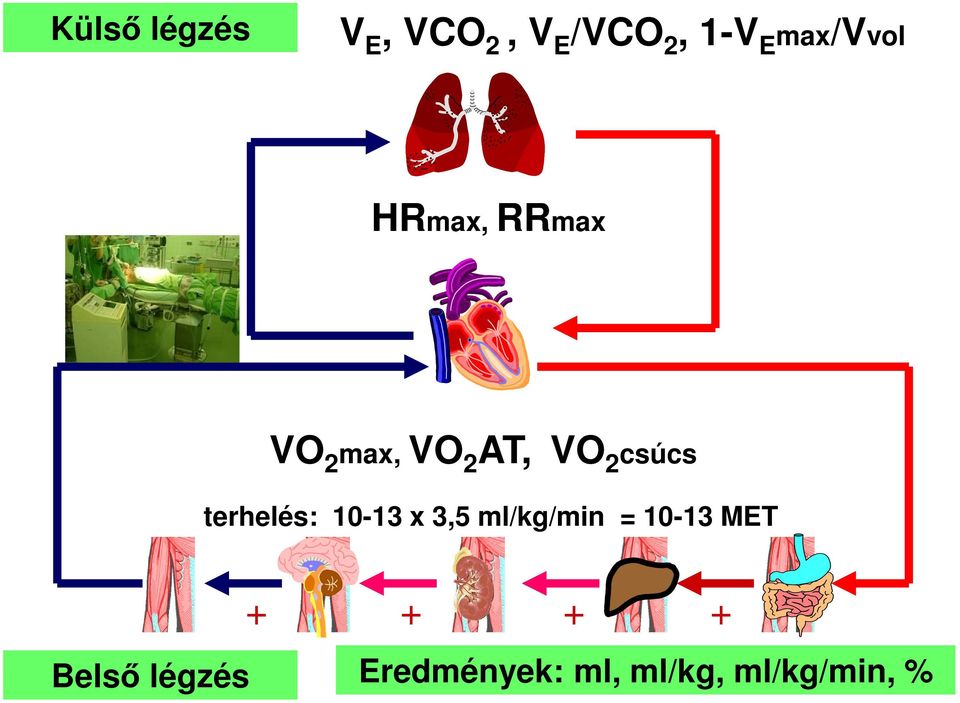 csúcs terhelés: 1013 x 3,5 ml/kg/min = 1013 MET