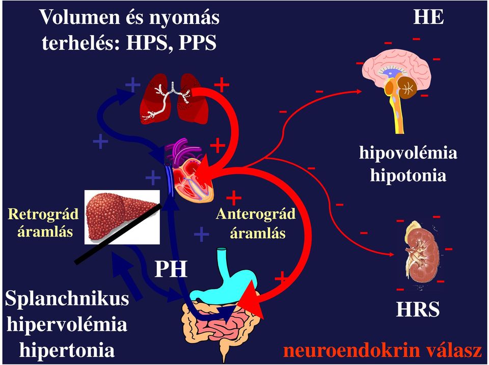 hipervolémia hipertonia + PH + + +