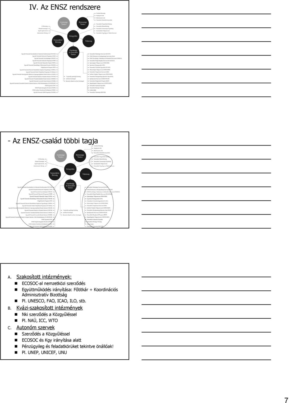 Adminisztratív Bizottság Pl. UNESCO, FAO, ICAO, ILO, stb. B. Kvázi-szakosított intézmények Nki szerzıdés a Közgyőléssel Pl.