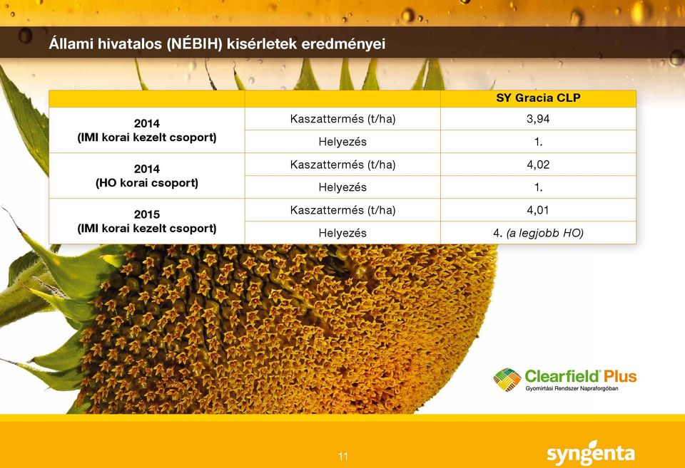 Gracia CLP Kaszattermés (t/ha) 3,94 Helyezés 1.