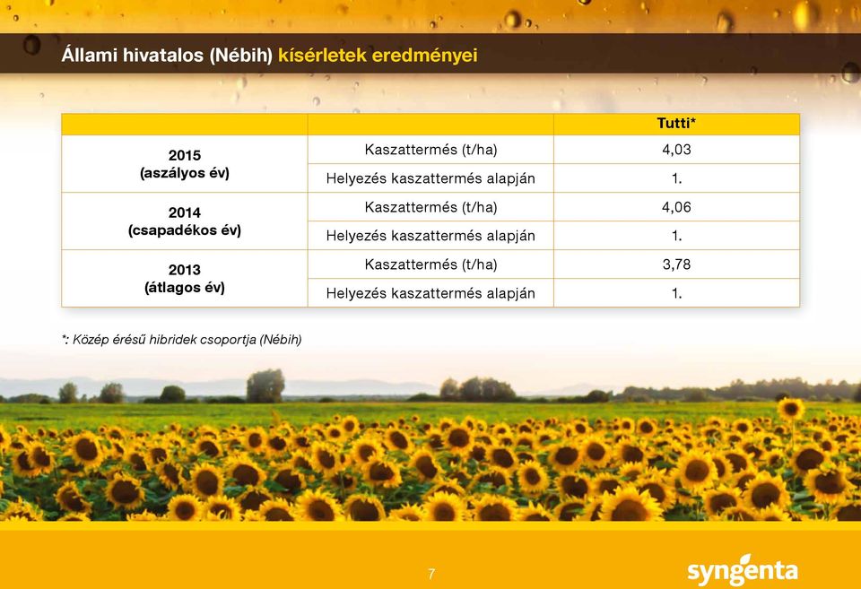 alapján 1. Kaszattermés (t/ha) 4,06 Helyezés kaszattermés alapján 1.