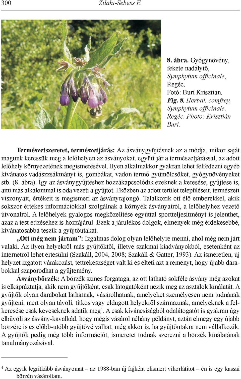 megismerésével. ilyen alkalmakkor gyakran lehet felfedezni egyéb kívánatos vadászzsákmányt is, gombákat, vadon termő gyümölcsöket, gyógynövényeket stb. (8. ábra).