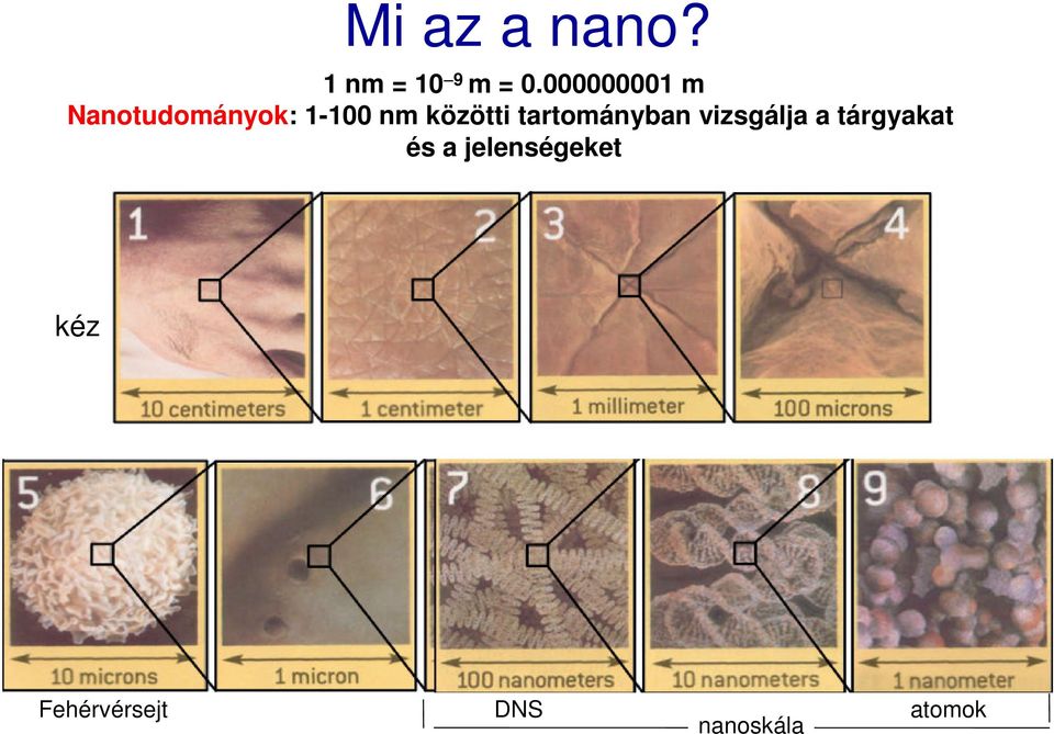 közötti tartományban vizsgálja a