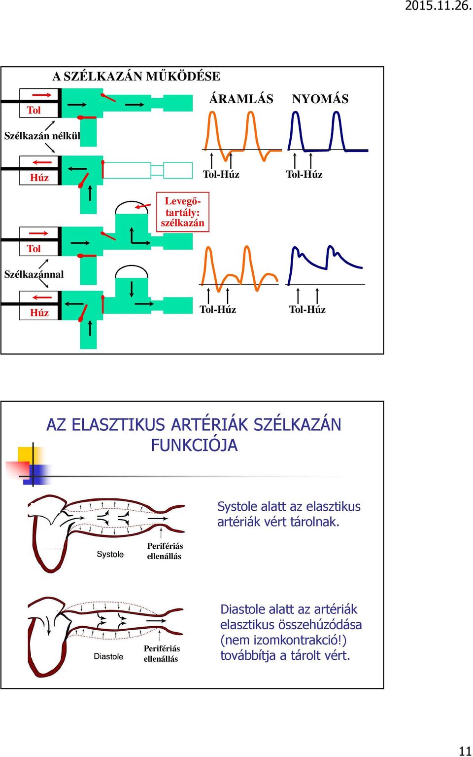 Perifériás ellenállás Systole alatt az elasztikus artériák vért tárolnak.