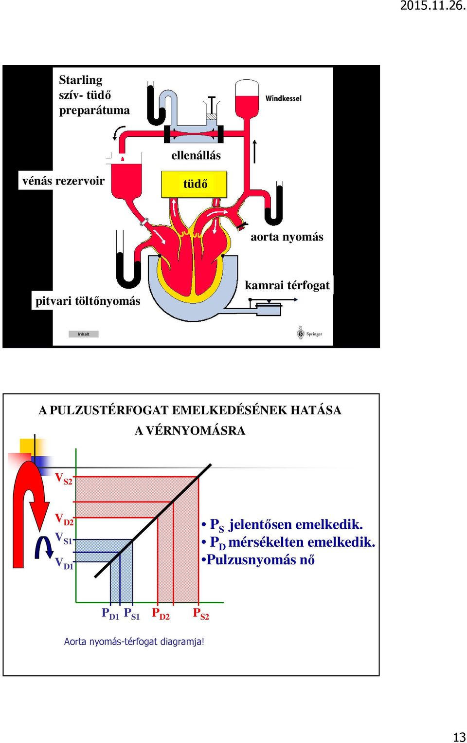 VÉRNYOMÁSRA V S2 V D2 V S1 V D1 P S jelentősen emelkedik.