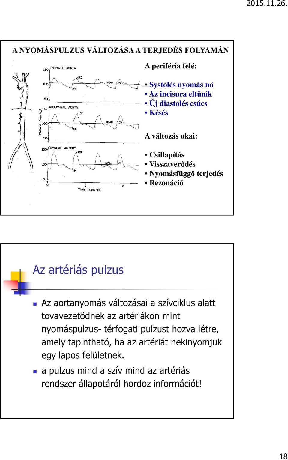 változásai a szívciklus alatt tovavezetődnek az artériákon mint nyomáspulzus-térfogati pulzust hozva létre, amely