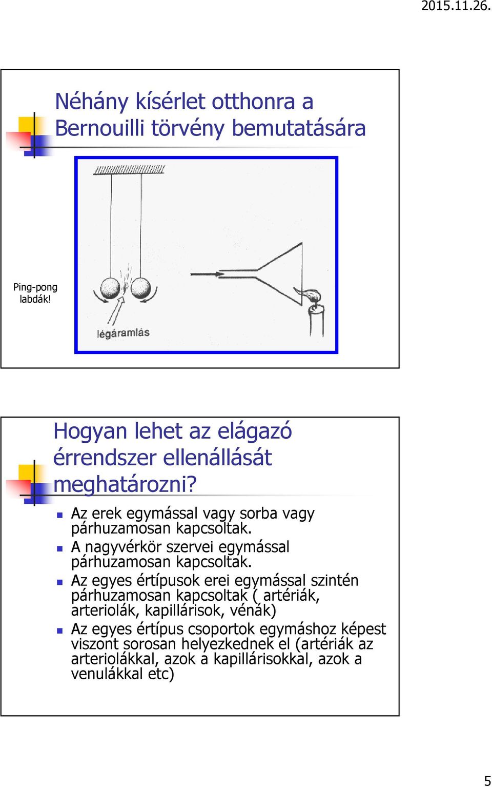 A nagyvérkör szervei egymással párhuzamosan kapcsoltak.