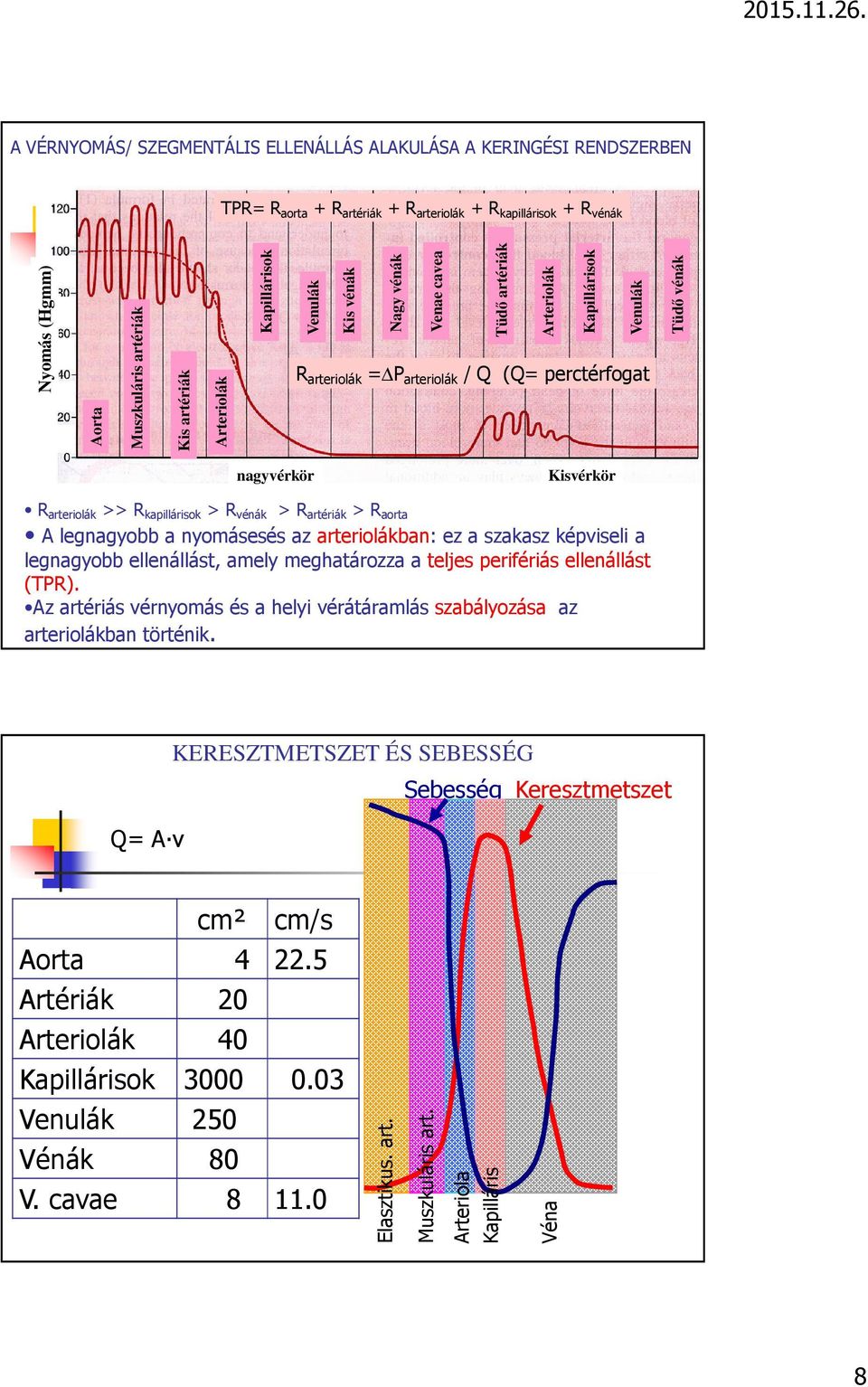 Kisvérkör R arteriolák >> R kapillárisok >R vénák > R artériák > R aorta A legnagyobb a nyomásesés az arteriolákban: ez a szakasz képviseli a legnagyobb ellenállást, amely meghatározza a teljes