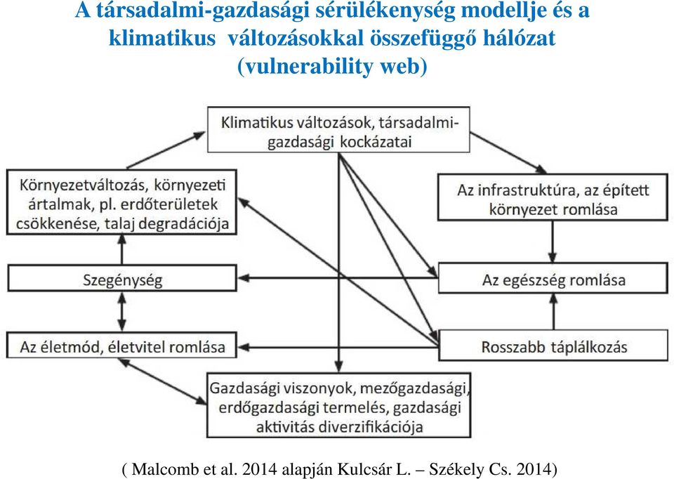 összefüggő hálózat (vulnerability web) (