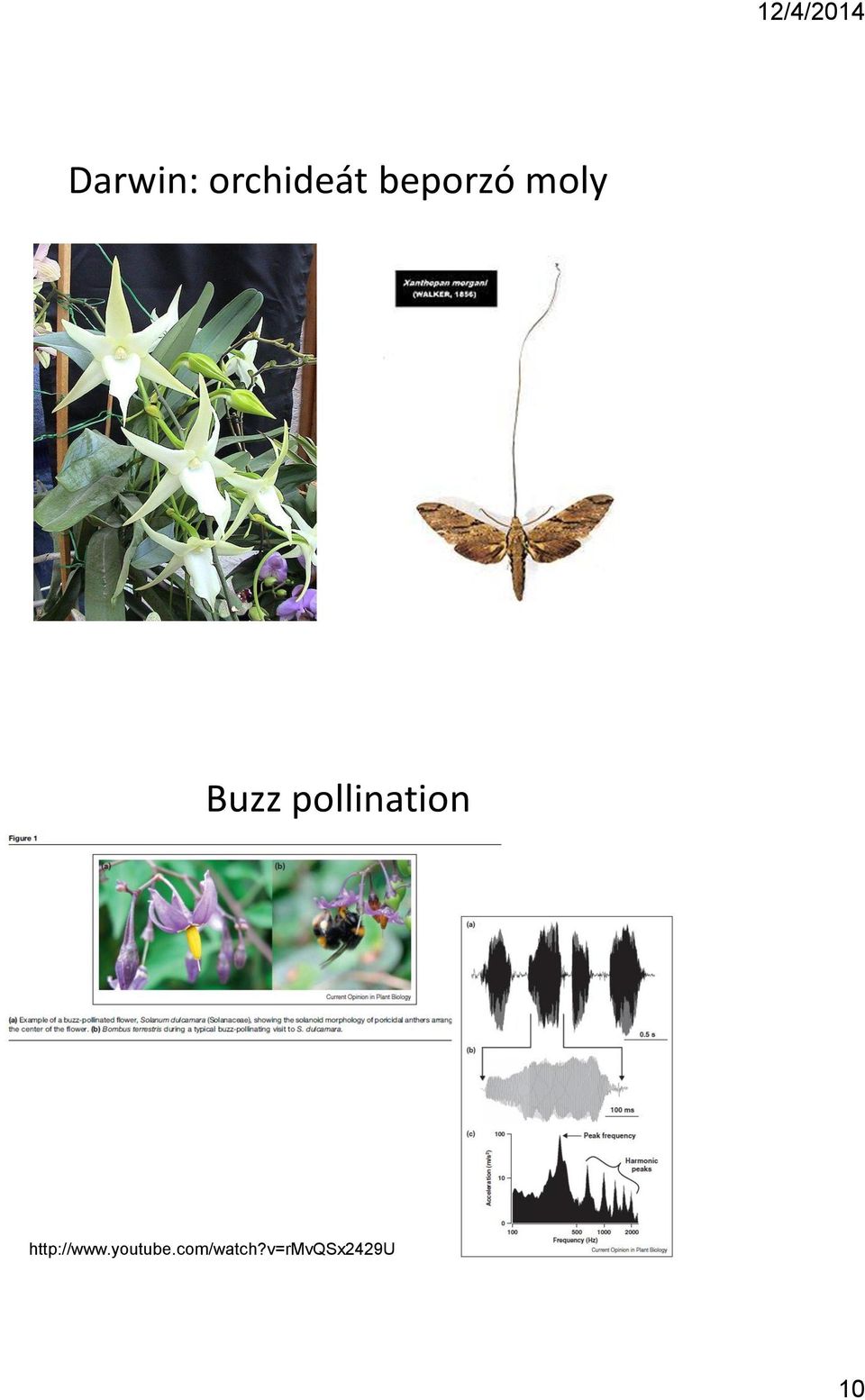 pollination http://www.