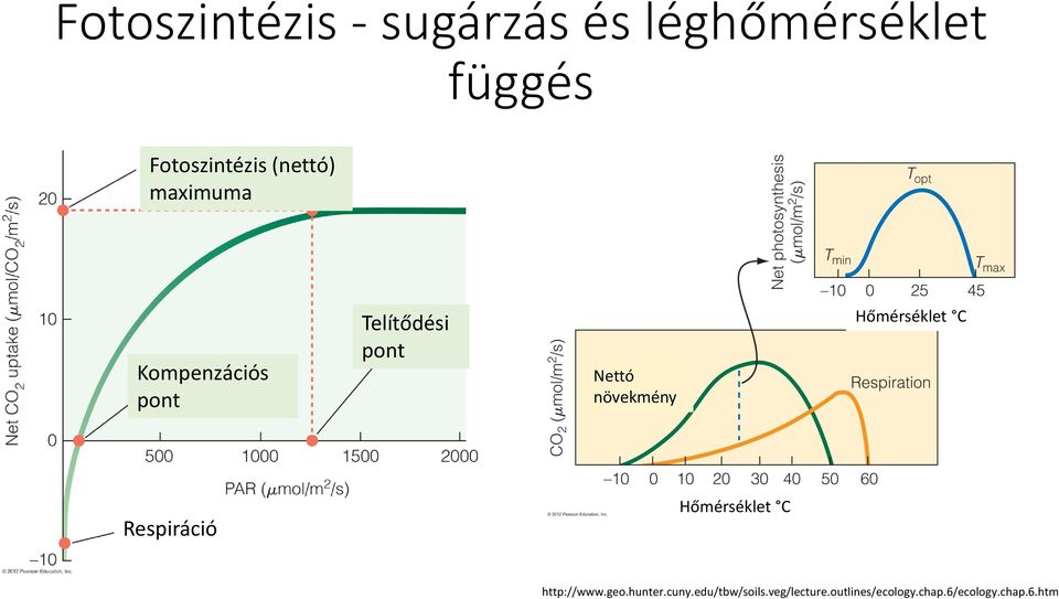 Hőmérséklet C Respiráció Hőmérséklet C http://www.geo.hunter.cuny.