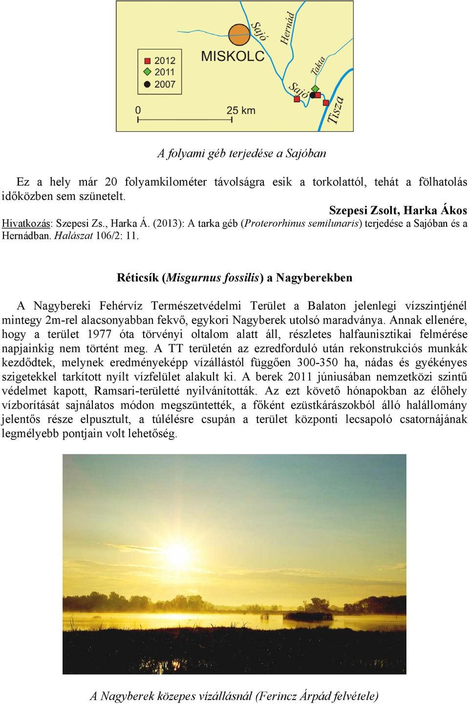 Réticsík (Misgurnus fossilis) a Nagyberekben A Nagybereki Fehérvíz Természetvédelmi Terület a Balaton jelenlegi vízszintjénél mintegy 2m-rel alacsonyabban fekvő, egykori Nagyberek utolsó maradványa.