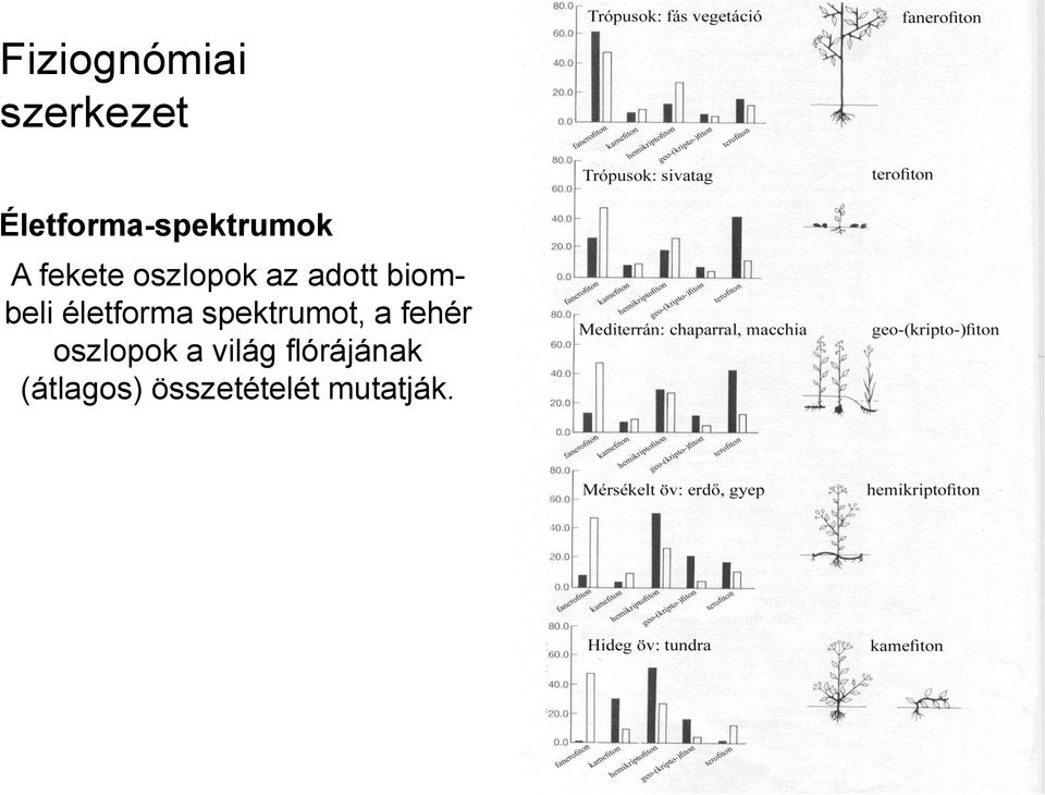 adott biombeli életforma spektrumot, a