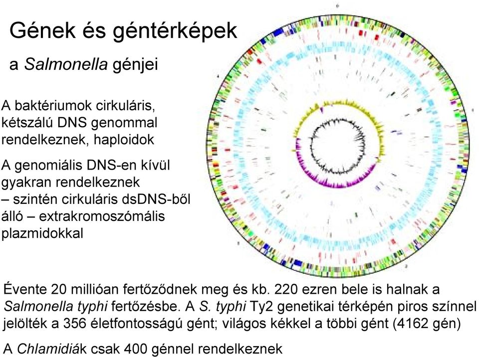 millióan fertőződnek meg és kb. 220 ezren bele is halnak a Salmonella typhi fertőzésbe. A S.