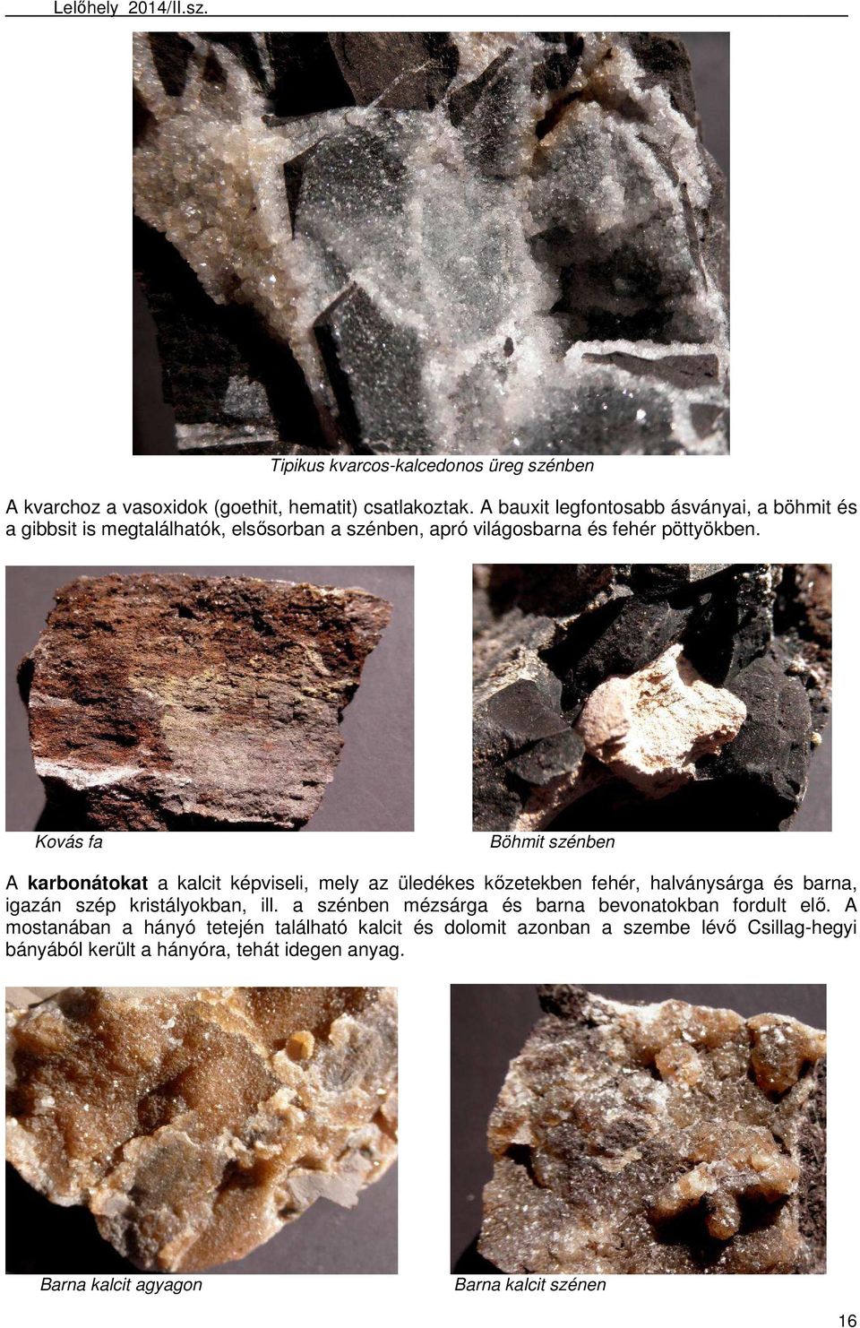 Kovás fa Böhmit szénben A karbonátokat a kalcit képviseli, mely az üledékes kőzetekben fehér, halványsárga és barna, igazán szép kristályokban, ill.