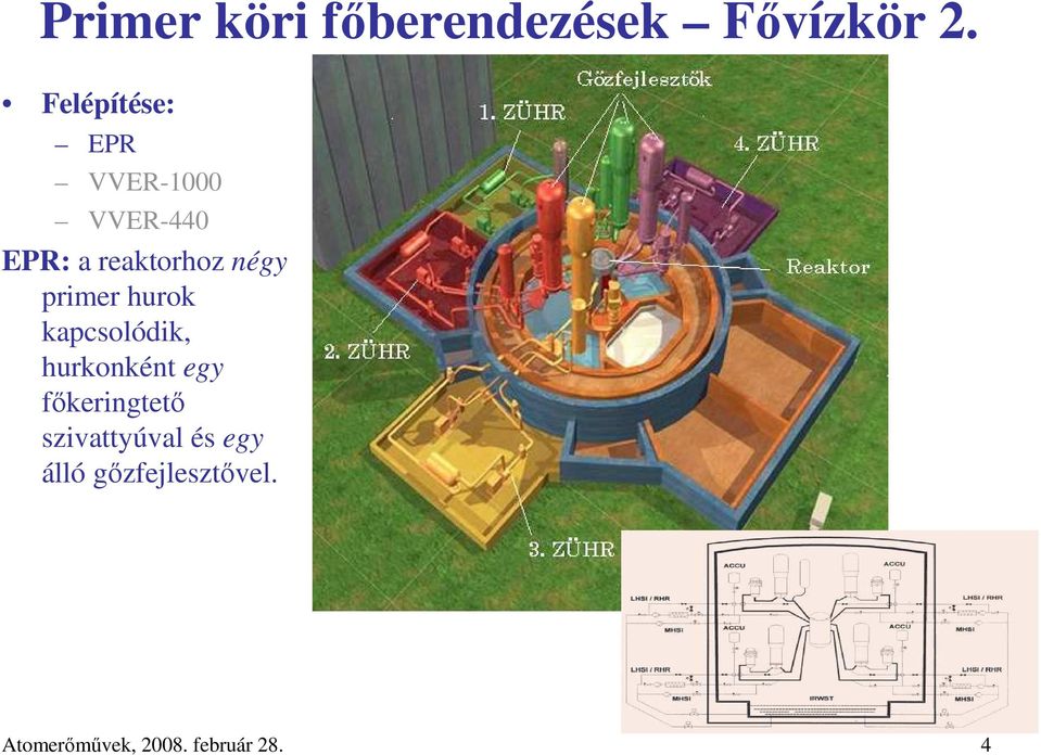 négy primer hurok kapcsolódik, hurkonként egy