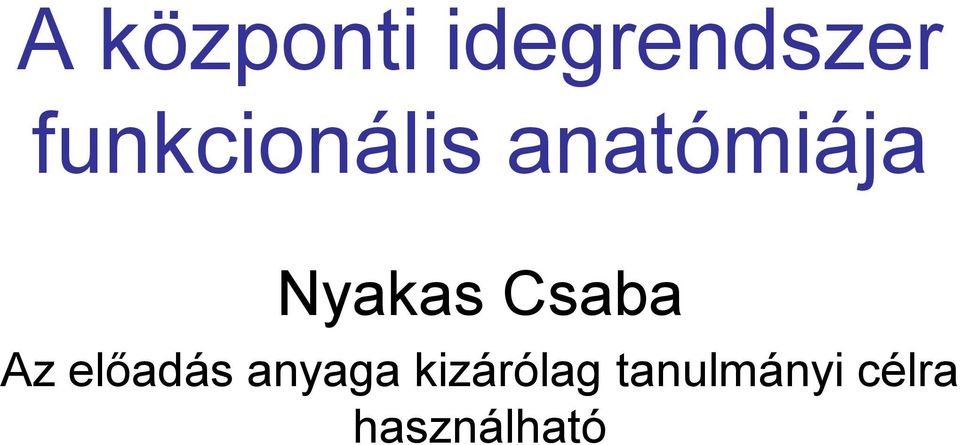 Nyakas Csaba Az előadás