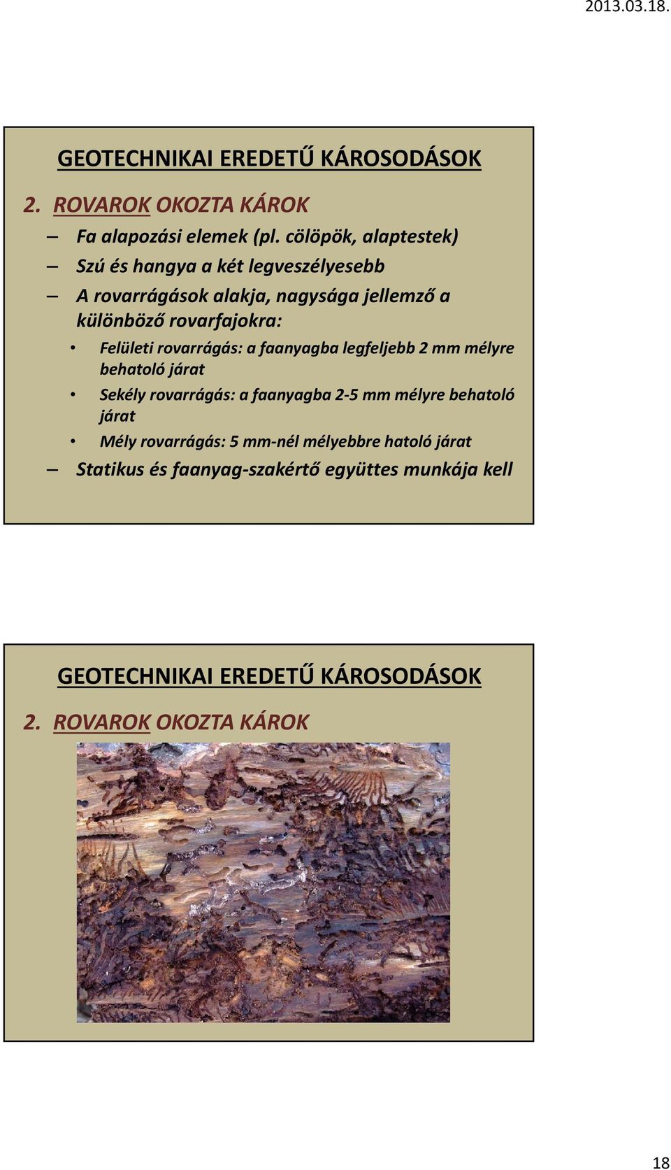 különböző rovarfajokra: Felületi rovarrágás: a faanyagba legfeljebb 2 mm mélyre behatoló járat Sekély