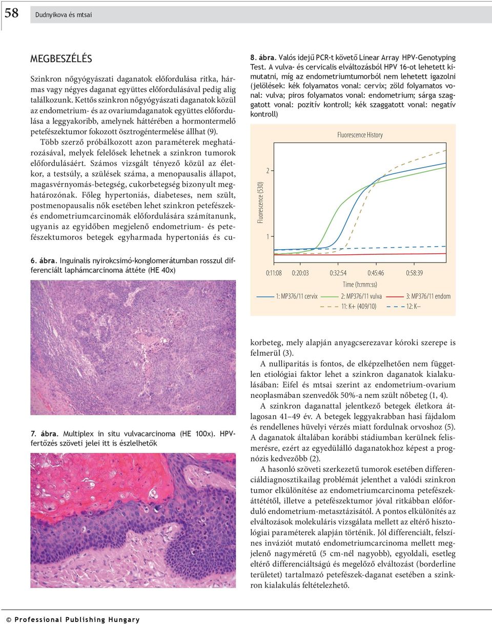 folyamatos vonal: endometrium; sárga szaggatott vonal: pozitív kontroll; kék szaggatott vonal: negatív kontroll) Fluorescence (530) 2 1 Fluorescence History 6. ábra.