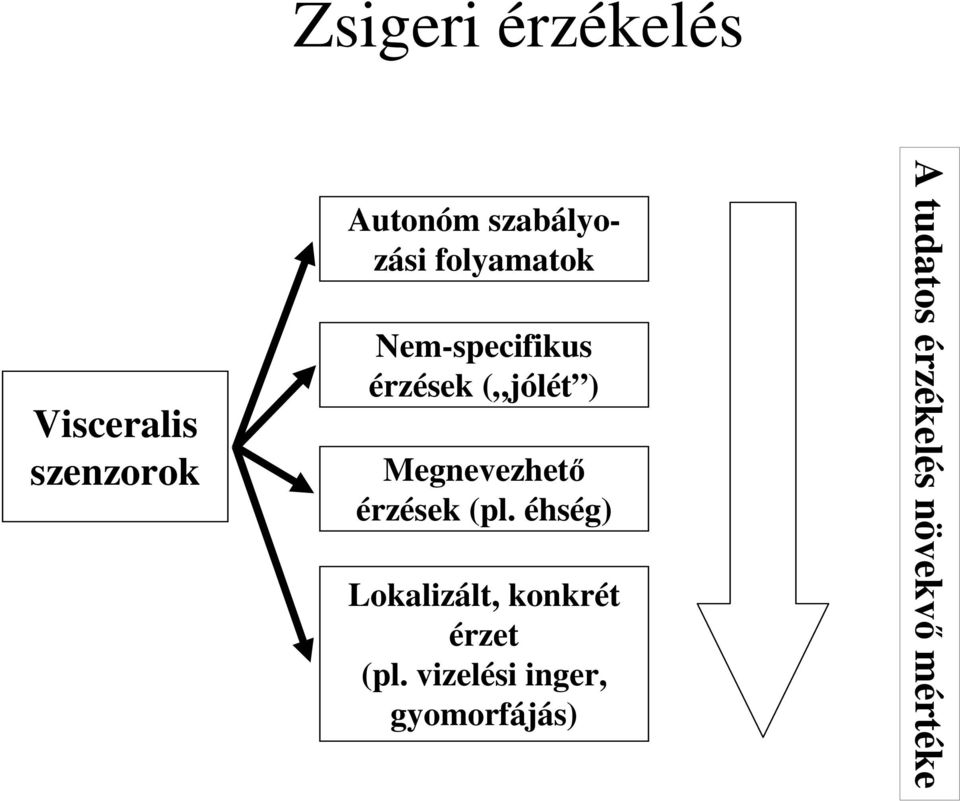 Megnevezhető érzések (pl.