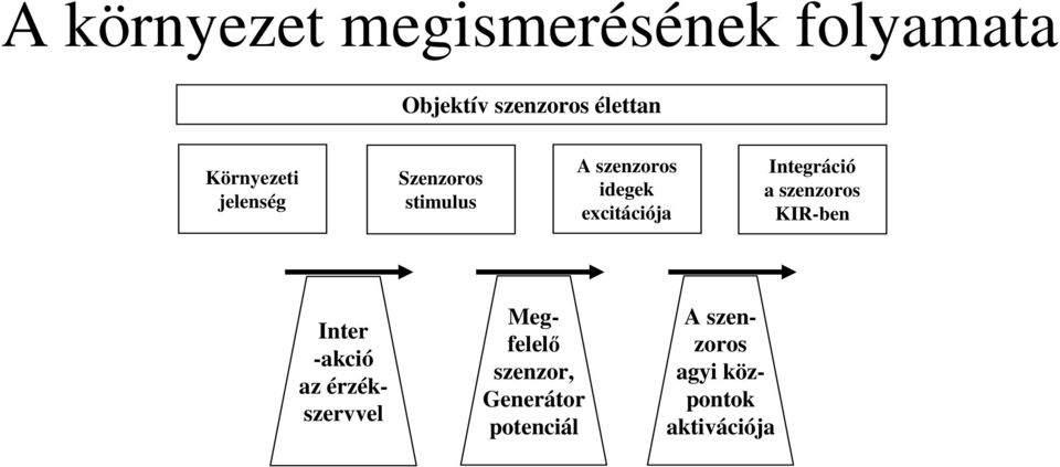 excitációja Integráció a szenzoros KIR-ben Inter -akció az