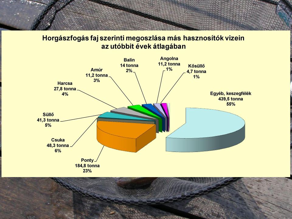 2% Angolna 11,2 tonna 1% Kősüllő 4,7 tonna 1% Egyéb, keszegfélék 439,5
