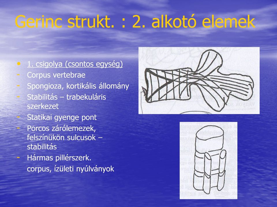 állomány - Stabilitás trabekuláris szerkezet - Statikai gyenge pont