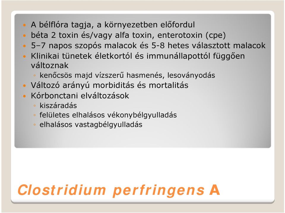 változnak kenőcsös majd vízszerű hasmenés, lesoványodás Változó arányú morbiditás és mortalitás Kórbonctani