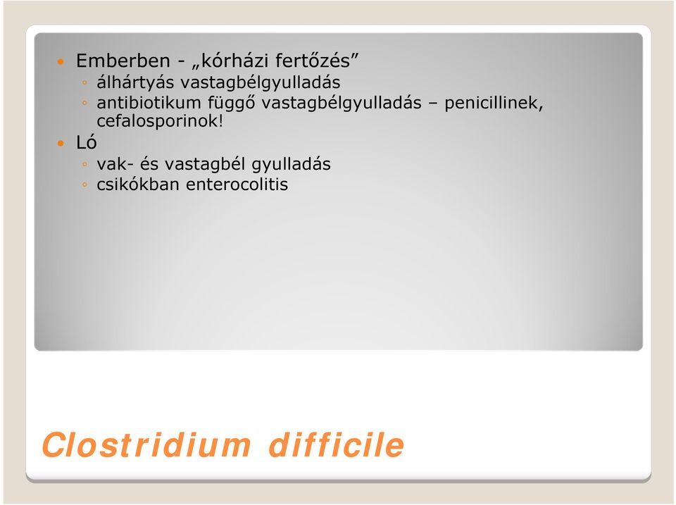 vastagbélgyulladás penicillinek, cefalosporinok!