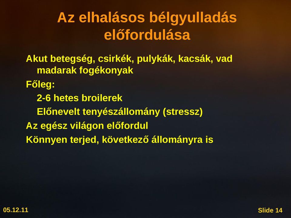 hetes broilerek Előnevelt tenyészállomány (stressz) Az egész