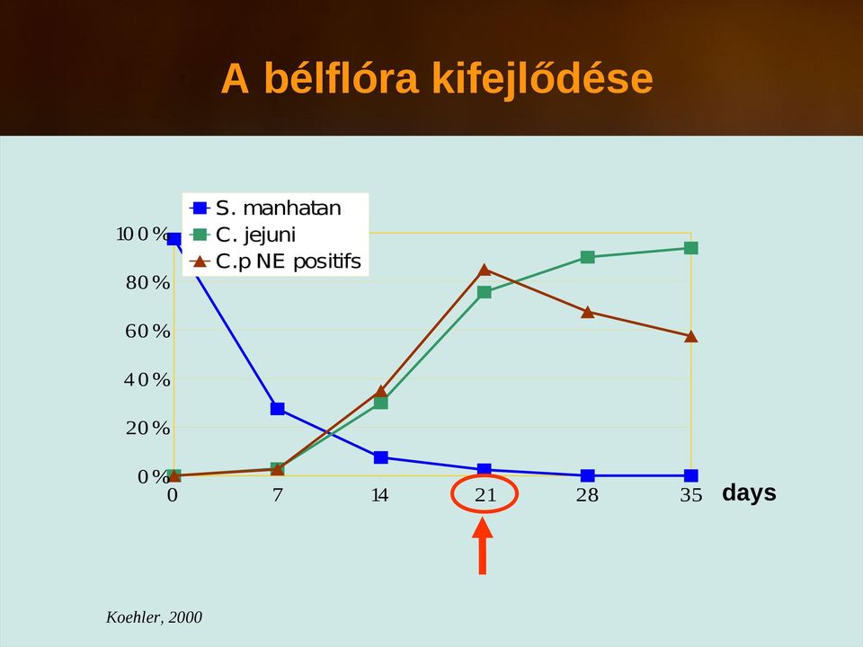 p NE positifs 60 % 40% 20 % 0% 0