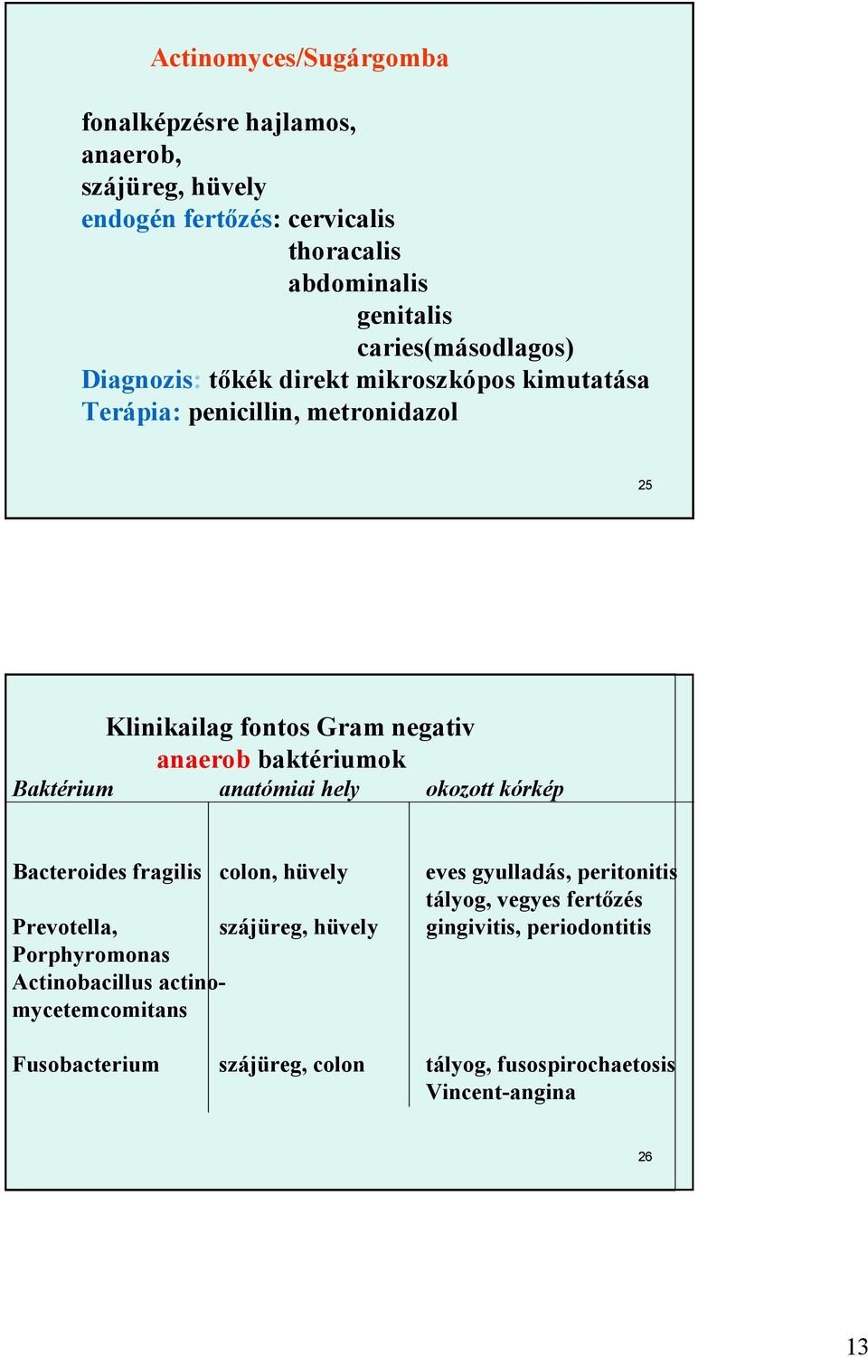 baktériumok Baktérium anatómiai hely okozott kórkép Bacteroides fragilis colon, hüvely eves gyulladás, peritonitis tályog, vegyes fertızés Prevotella,