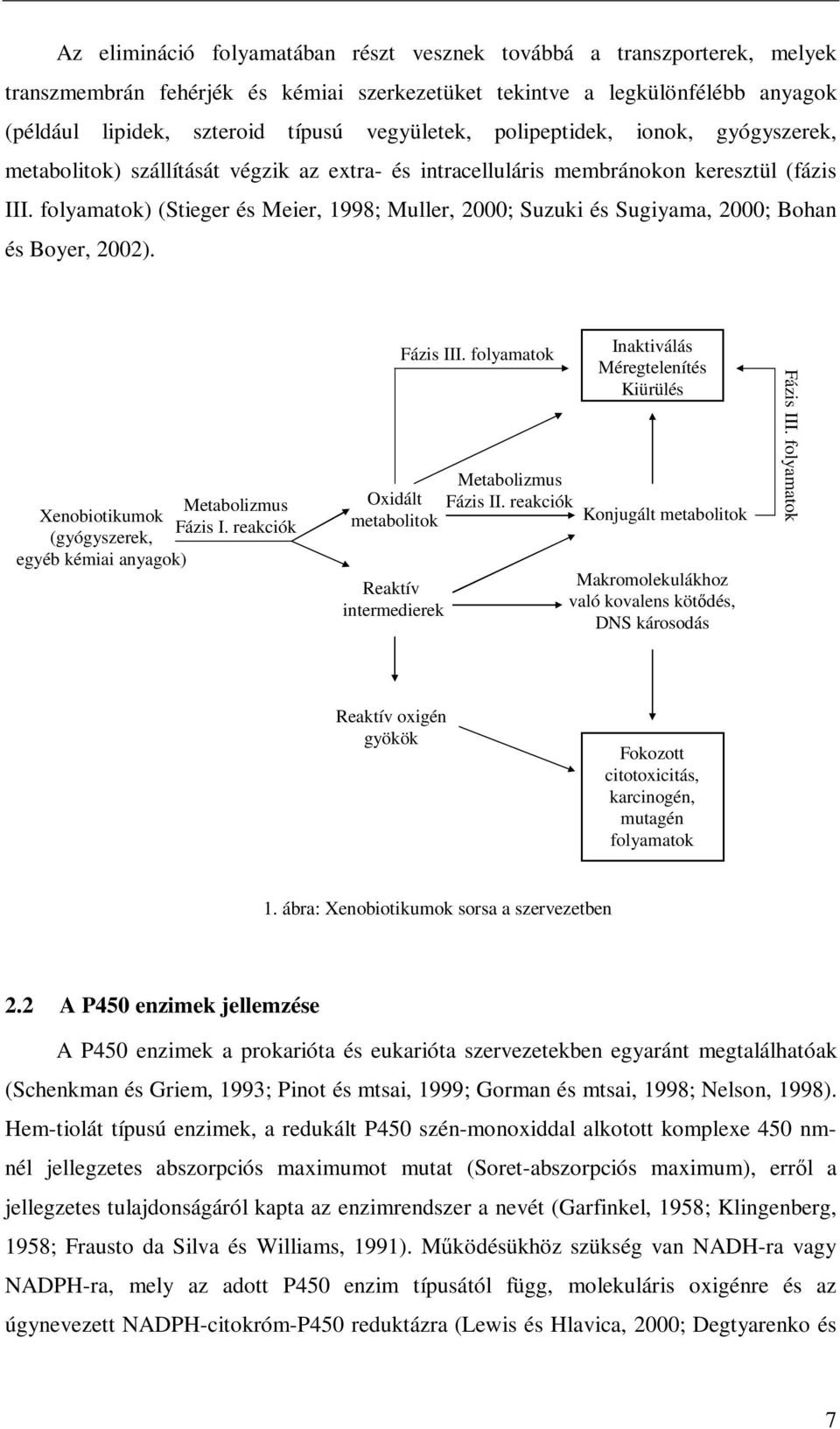 folyamatok) (Stieger és Meier, 1998; Muller, 2000; Suzuki és Sugiyama, 2000; Bohan és Boyer, 2002). Metabolizmus Xenobiotikumok Fázis I.