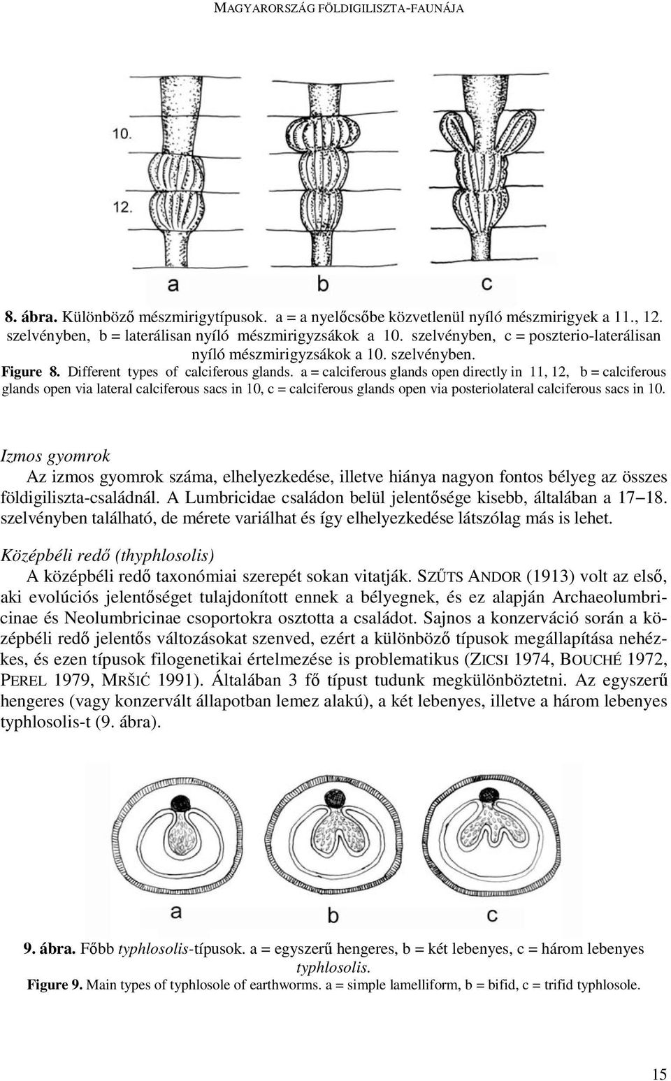 a = calciferous glands open directly in 11, 12, b = calciferous glands open via lateral calciferous sacs in 10, c = calciferous glands open via posteriolateral calciferous sacs in 10.