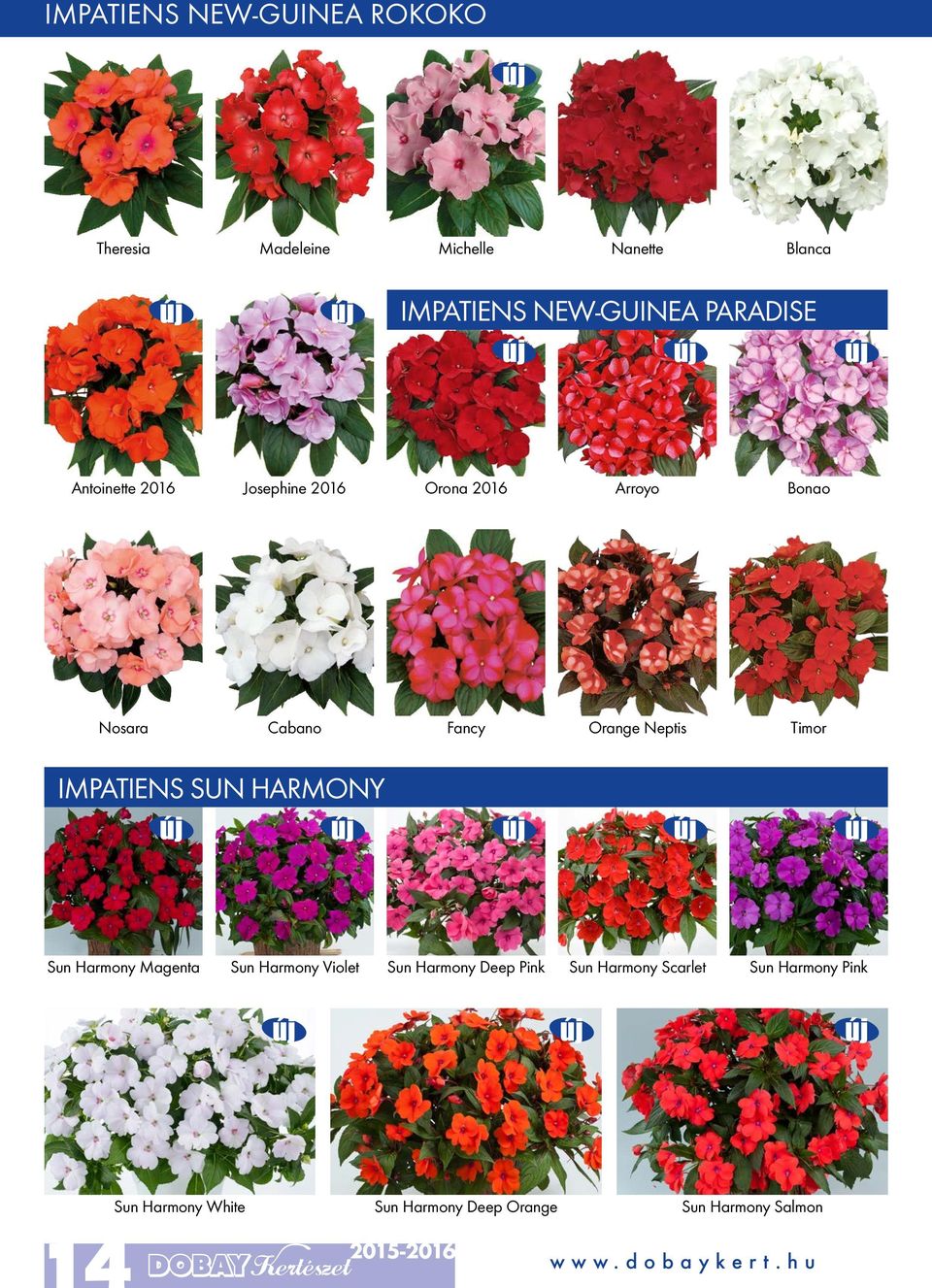 Neptis Timor IMPATIENS SUN HARMONY Sun Harmony Magenta Sun Harmony Violet Sun Harmony Deep