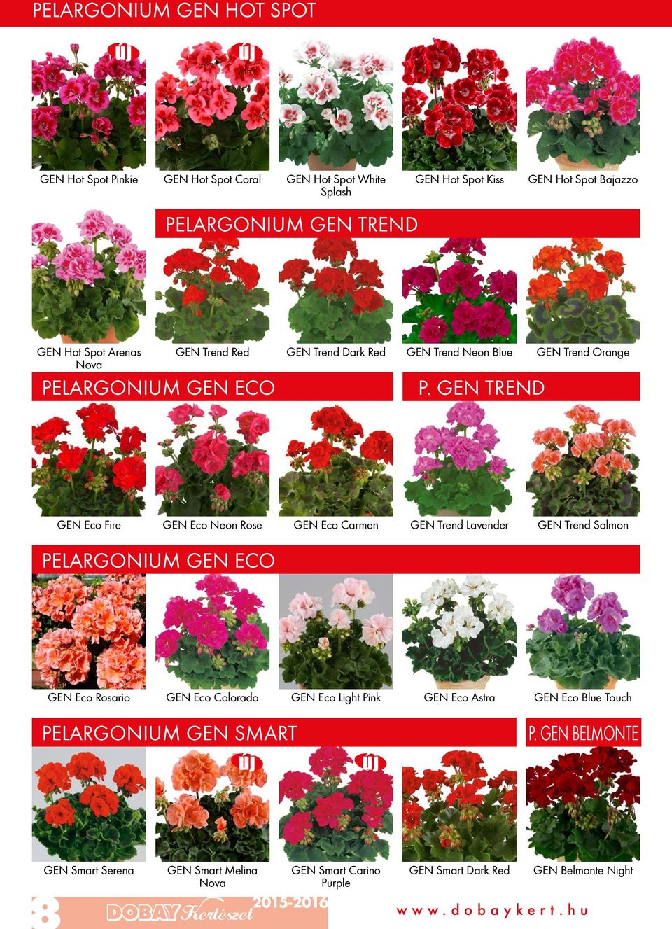 GEN TREND GEN Eco Fire GEN Eco Neon Rose GEN Eco Carmen GEN Trend Lavender GEN Trend Salmon PELARGONIUM GEN ECO GEN Eco Rosario GEN Eco Colorado GEN