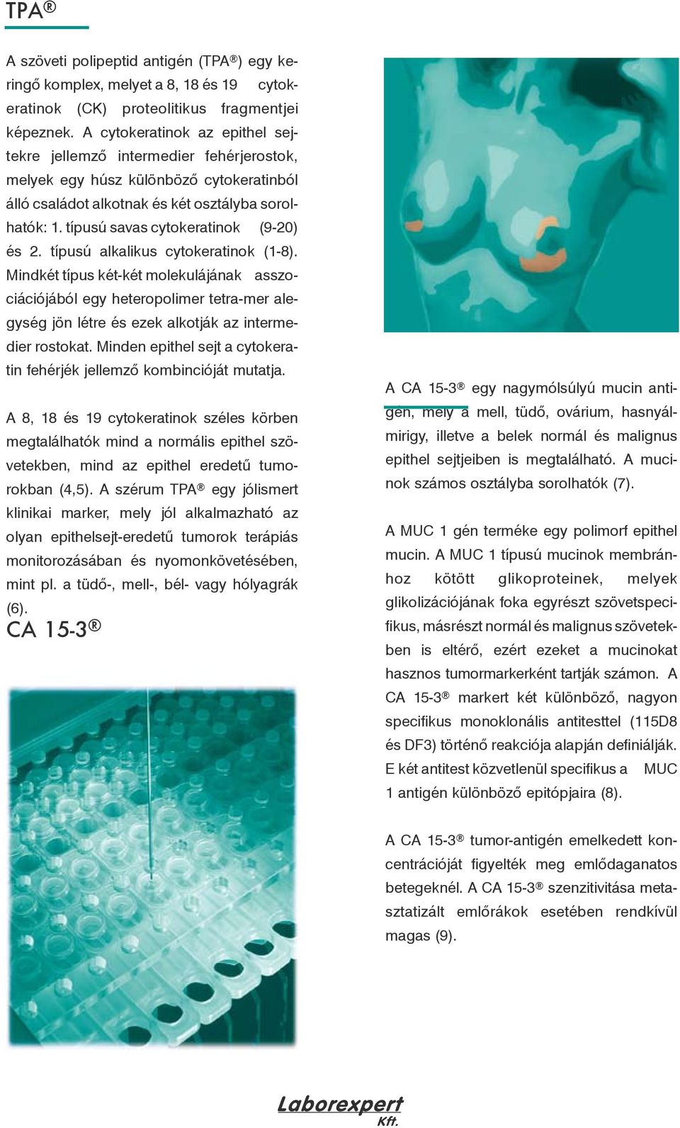 típusú savas cytokeratinok (9-20) és 2. típusú alkalikus cytokeratinok (1-8).