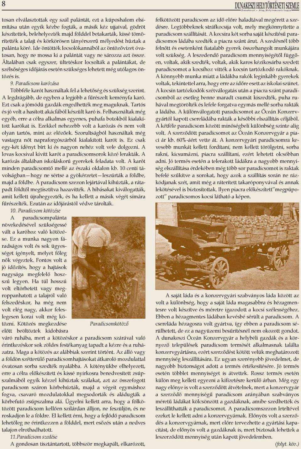 Általában csak egyszer, ültetéskor locsolták a palántákat, de szélsőséges időjárás esetén szükséges lehetett még utólagos öntözés is. 9.