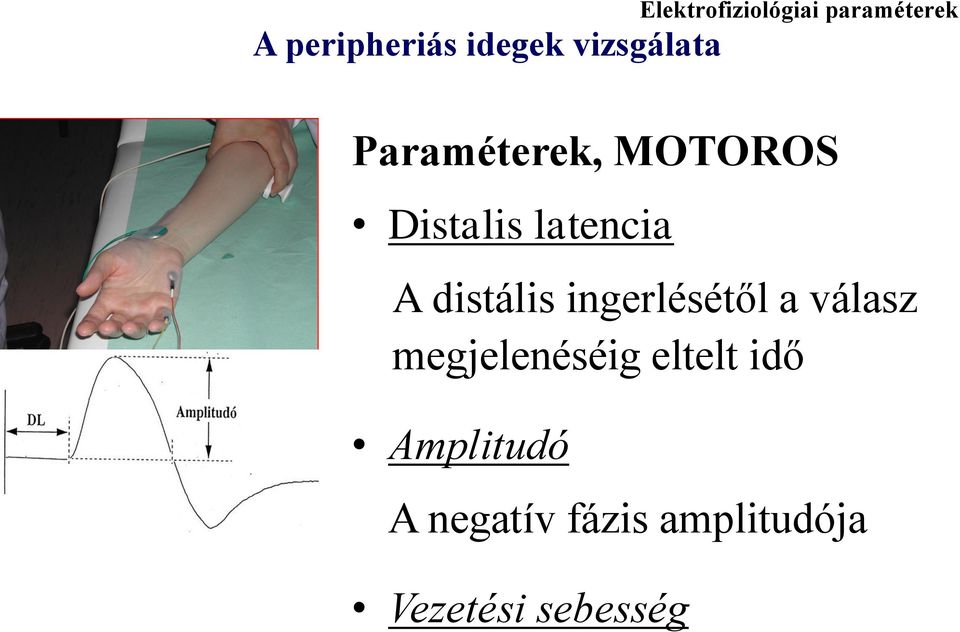 distális ingerlésétől a válasz megjelenéséig eltelt