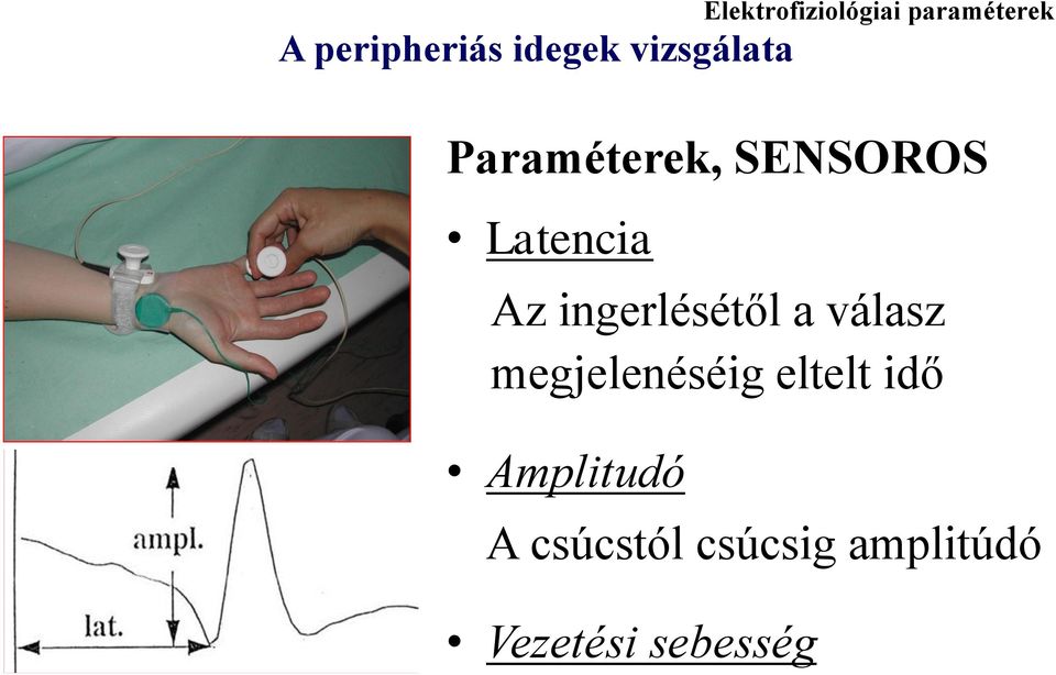 Az ingerlésétől a válasz megjelenéséig eltelt idő