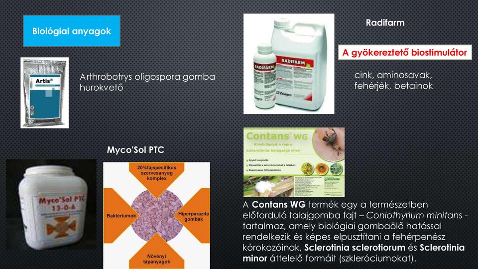 fajt Coniothyrium minitans - tartalmaz, amely biológiai gombaölő hatással rendelkezik és képes